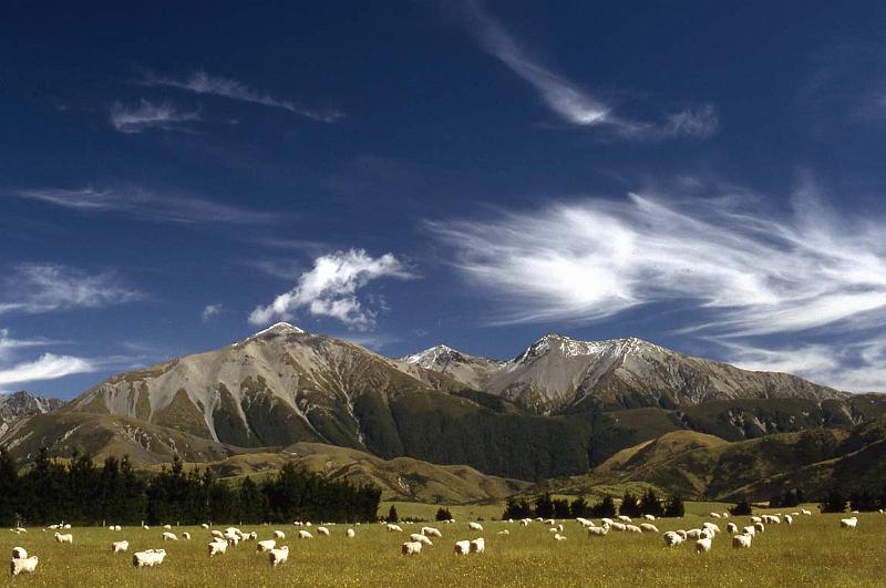 RWT 0041 037-34 New Zealand.jpg